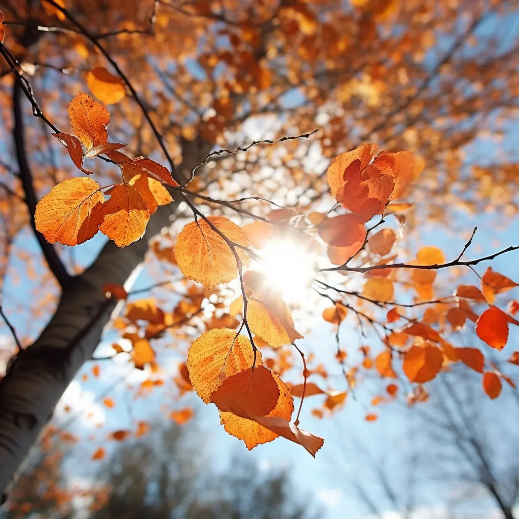 orangea höstlöv på ett träd med blå himmel