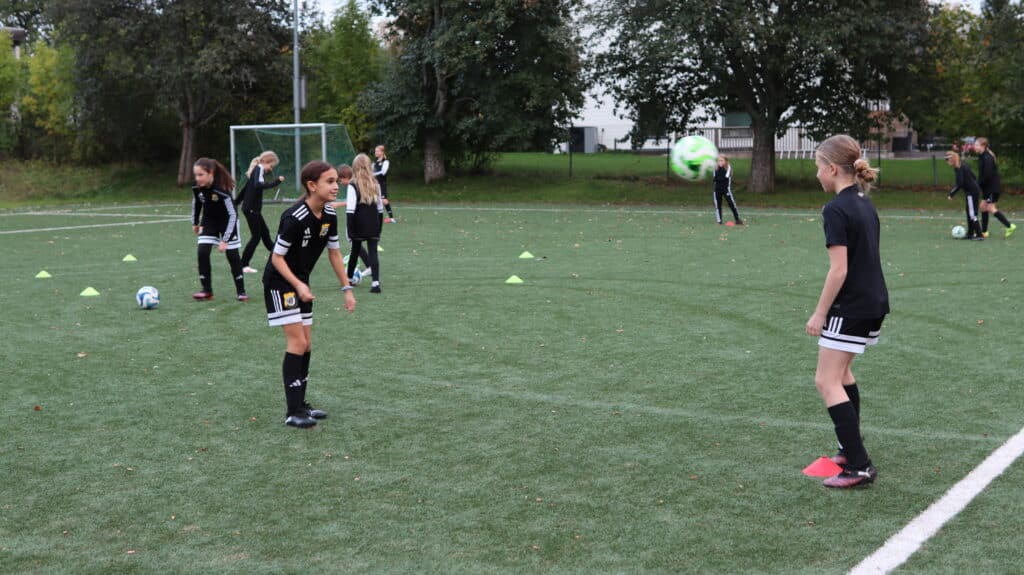 leverans och utdelning av sålda produkter