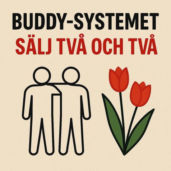 buddy-systemet