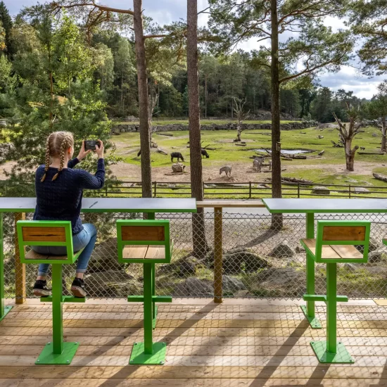 barn på djurpark