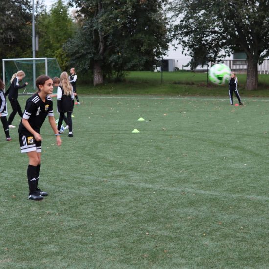 leverans och utdelning av sålda produkter